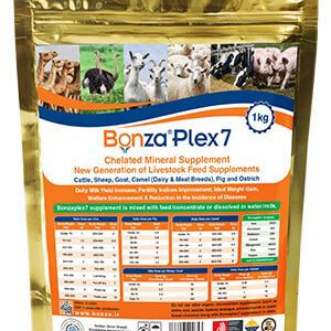 bonza-plex7