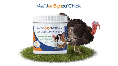 مکمل بن زا چیک مکمل خوراک بوقلمون بلدرچین اردک و کپک