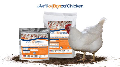مکمل بن زا چیکن مکمل خوراک مرغ و جوجه گوشتی تخمگذار و مادر