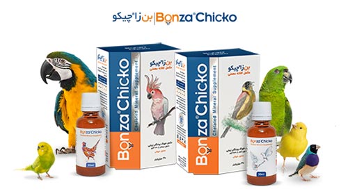 مکمل بن زا چیکو مکمل خوراک پرندگان زینتی