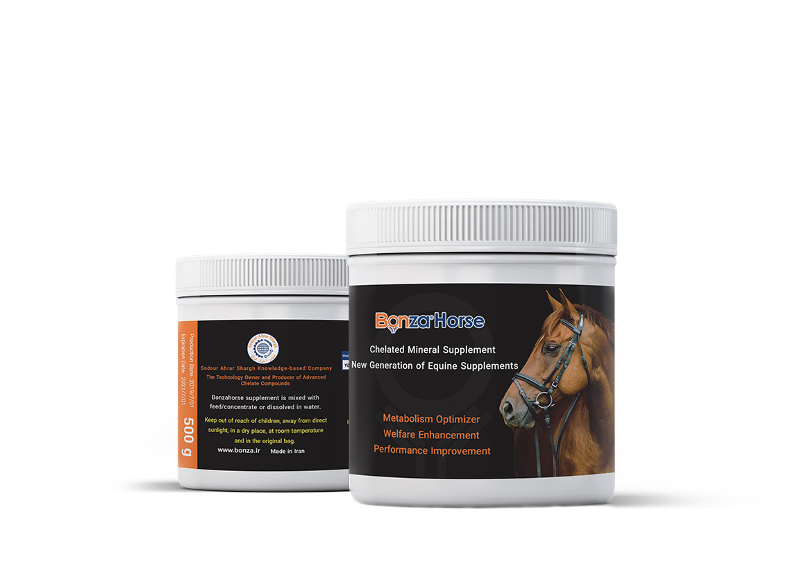 Bonzahorse