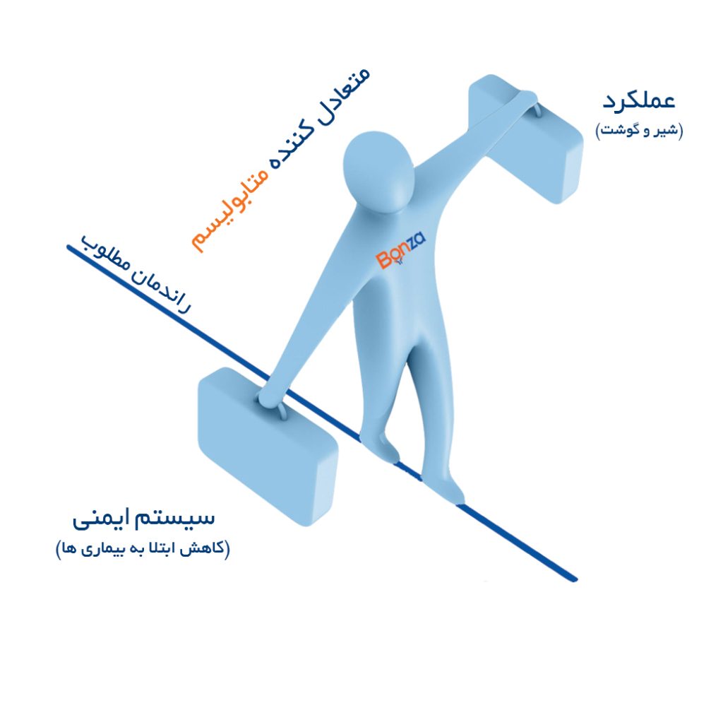 اثر متابولیسم اپتیمایزر بن زا