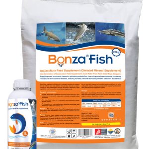 Bonzafish