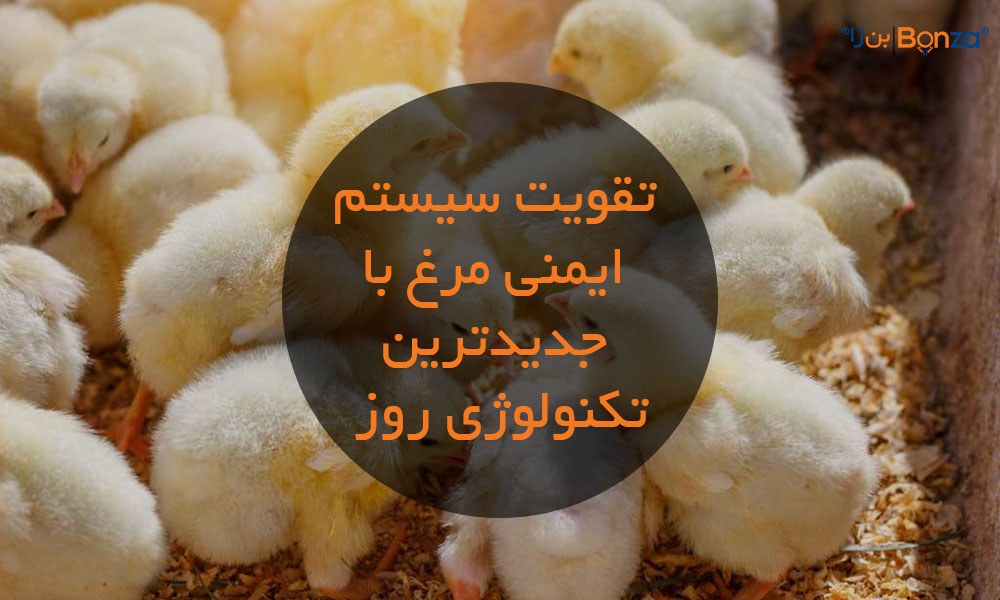 تقویت سیستم ایمنی مرغ با جدیدترین تکنولوژی روز