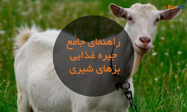 راهنمای جامع جیره غذایی بزهای شیری