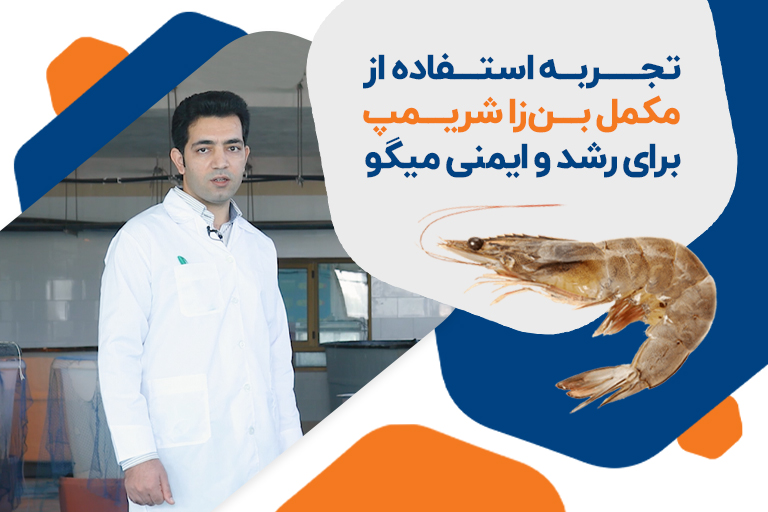 پژوهشکده میگوی ایران