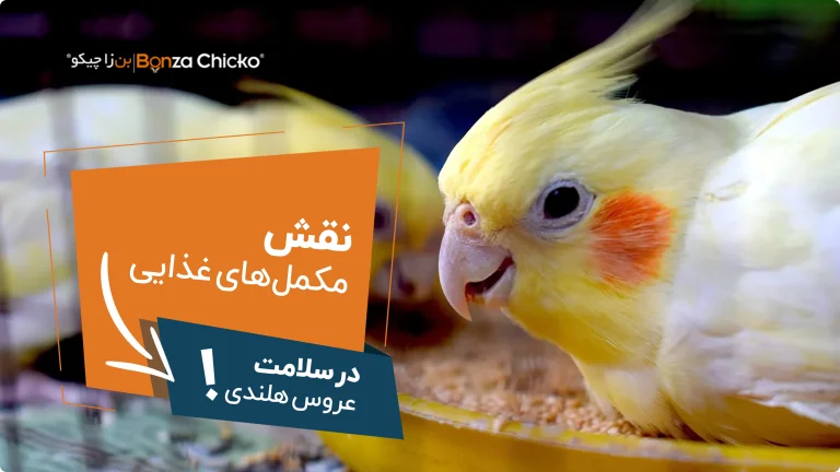 نقش مکمل‌های غذایی در سلامت عروس هلندی