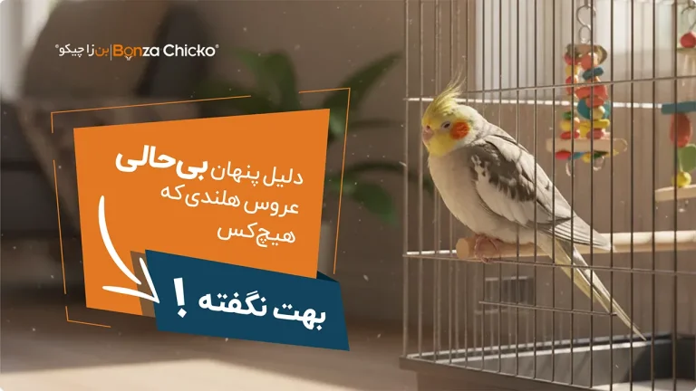 بی حالی عروس هلندی؛ علائم، دلایل و درمان علمی