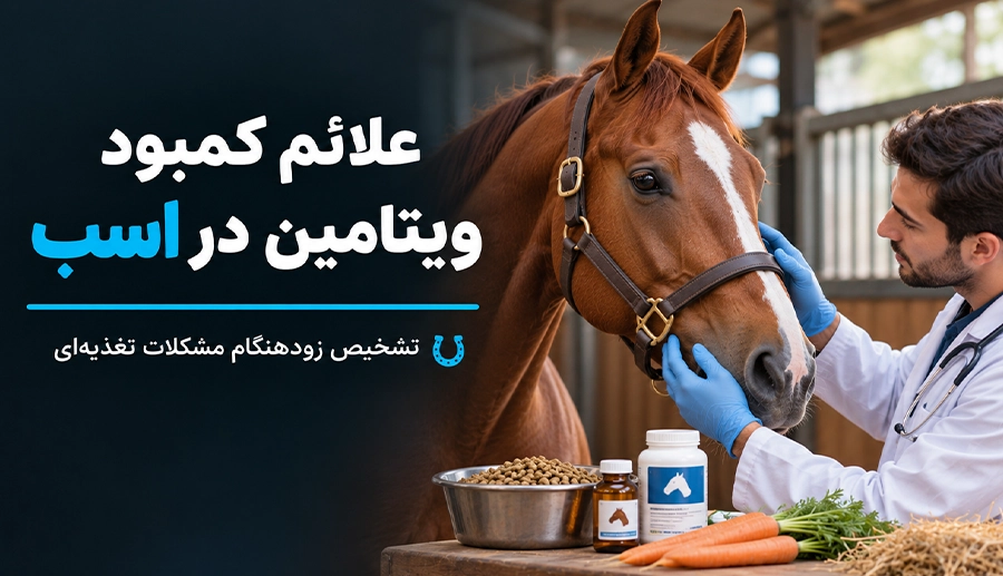 علائم کمبود ویتامین در اسب؛ علت، عوارض و درمان کمبود مواد مغذی در اسب