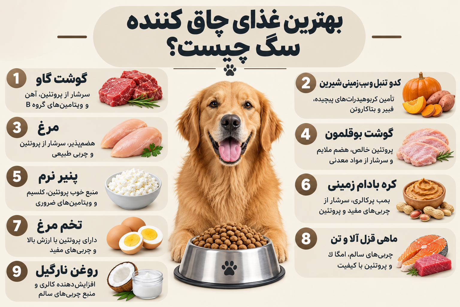 معرفی بهترین غذای چاق کننده سگ