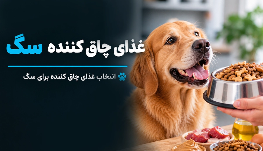 بهترین غذای چاق کننده سگ